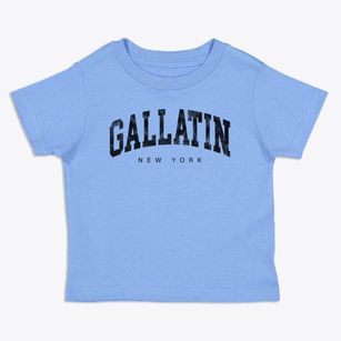 Gallatin New York Urban Vibe Toddler T-Shirt