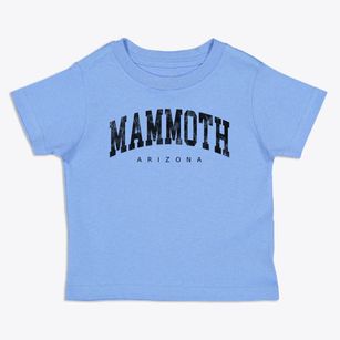 Mammoth Arizona Urban Vibe Toddler T-Shirt