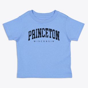 Princeton Wisconsin Urban Vibe Toddler T-Shirt