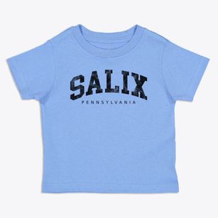 Salix Pennsylvania Urban Vibe Toddler T-Shirt