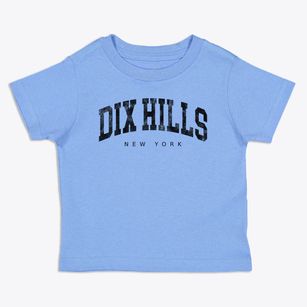 Dix Hills New York Urban Vibe Toddler T-Shirt