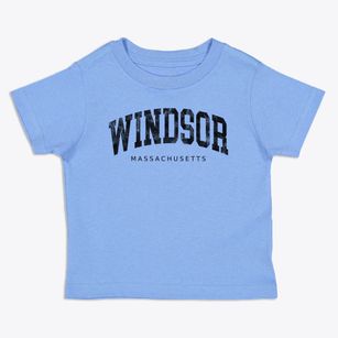 Windsor Massachusetts Urban Vibe Toddler T-Shirt