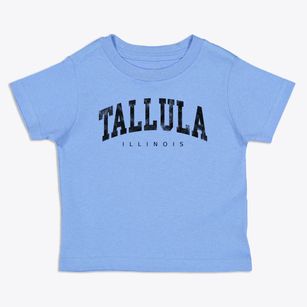 Tallula Illinois Urban Vibe Toddler T-Shirt