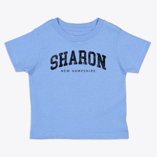 Sharon New Hampshire Urban Vibe Toddler T-Shirt