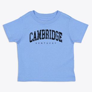 Cambridge Kentucky Urban Vibe Toddler T-Shirt