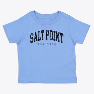 Salt Point New York Urban Vibe Toddler T-Shirt