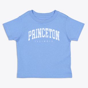 Princeton Illinois Urban Vibe Toddler T-Shirt