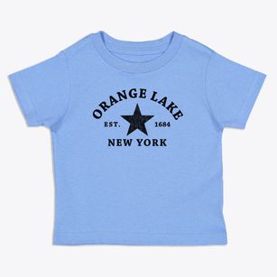 Orange Lake New York Star Toddler T-Shirt