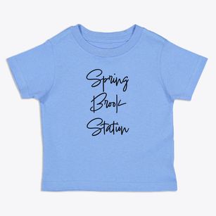 Spring Brook Station New York Freestyle Toddler T-Shirt