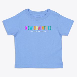 New Braintree Massachusetts Color Pop Toddler T-Shirt