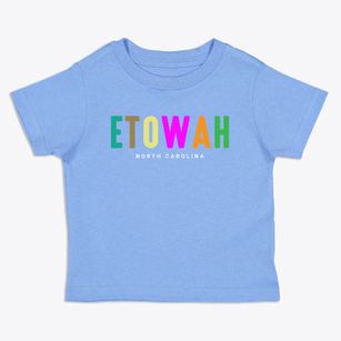 Etowah North Carolina Color Pop Toddler T-Shirt