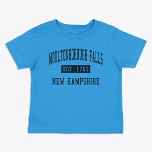 Moultonborough Falls New Hampshire Classic Established Toddler T-Shirt