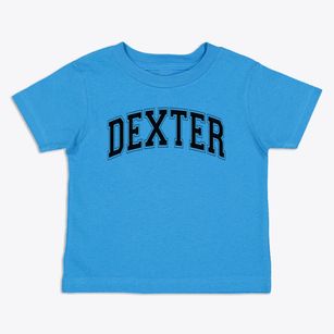 Dexter Christian Academy Varsity Arch Toddler T-Shirt