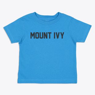 Mount Ivy New York Classic Block Toddler T-Shirt