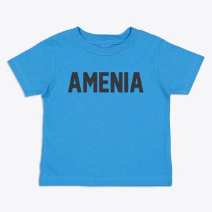 Amenia New York Classic Block Toddler T-Shirt