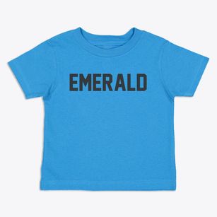 Emerald Wisconsin Classic Block Toddler T-Shirt