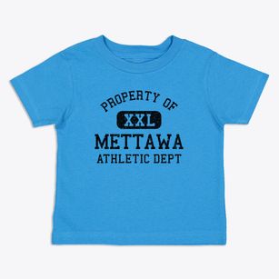 Mettawa Illinois Athletic Dept Toddler T-Shirt