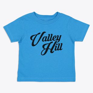Valley Hill North Carolina Vintage Team Toddler T-Shirt