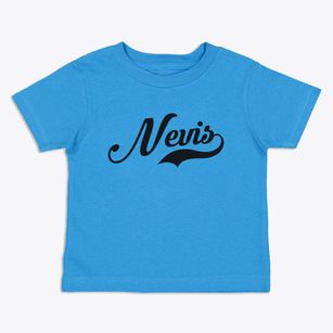 Nevis Minnesota Vintage Team Toddler T-Shirt