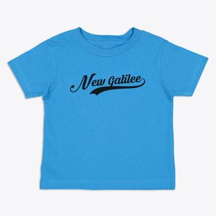 New Galilee Pennsylvania Vintage Team Toddler T-Shirt