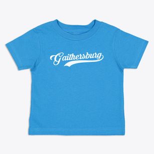Gaithersburg Maryland Vintage Team Toddler T-Shirt