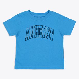 Amherst Ohio Trendy Block Toddler T-Shirt