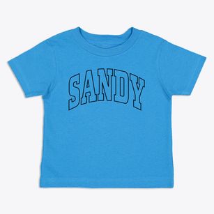 Sandy Oregon Trendy Block Toddler T-Shirt