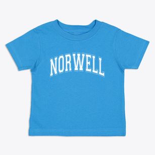 Norwell Massachusetts Varsity Toddler T-Shirt