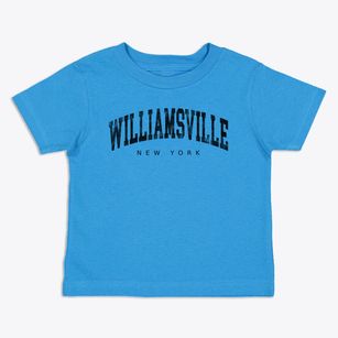 Williamsville New York Urban Vibe Toddler T-Shirt