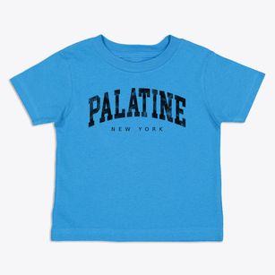 Palatine New York Urban Vibe Toddler T-Shirt