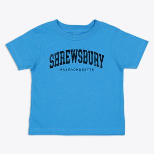 Shrewsbury Massachusetts Urban Vibe Toddler T-Shirt