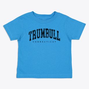 Trumbull Connecticut Urban Vibe Toddler T-Shirt