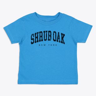 Shrub Oak New York Urban Vibe Toddler T-Shirt