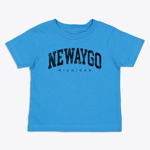 Newaygo Michigan Urban Vibe Toddler T-Shirt