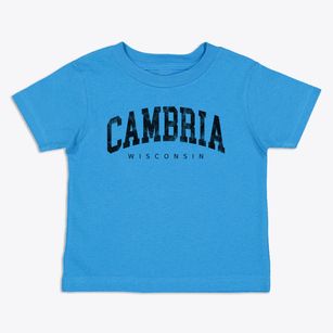 Cambria Wisconsin Urban Vibe Toddler T-Shirt