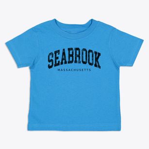 Seabrook Massachusetts Urban Vibe Toddler T-Shirt