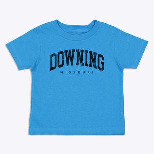 Downing Missouri Urban Vibe Toddler T-Shirt