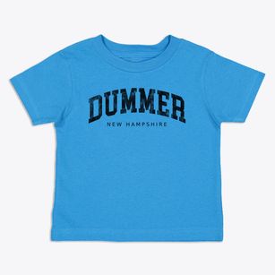 Dummer New Hampshire Urban Vibe Toddler T-Shirt