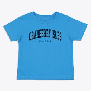 Cranberry Isles Maine Urban Vibe Toddler T-Shirt