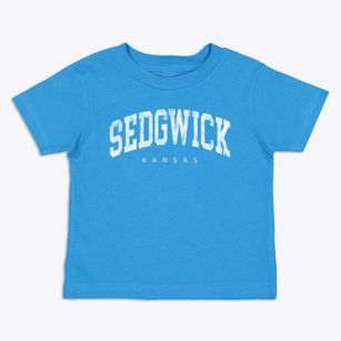 Sedgwick Kansas Urban Vibe Toddler T-Shirt