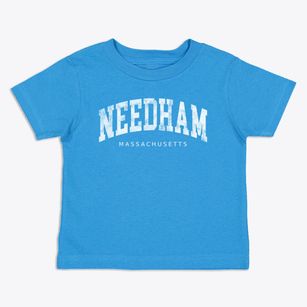 Needham Massachusetts Urban Vibe Toddler T-Shirt