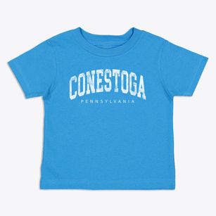 Conestoga Pennsylvania Urban Vibe Toddler T-Shirt