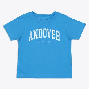 Andover Ohio Urban Vibe Toddler T-Shirt