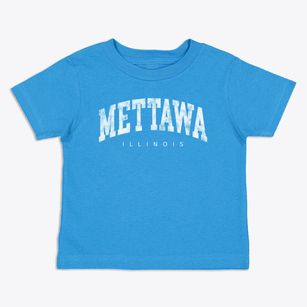 Mettawa Illinois Urban Vibe Toddler T-Shirt