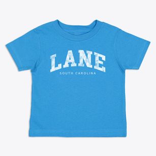 Lane South Carolina Urban Vibe Toddler T-Shirt