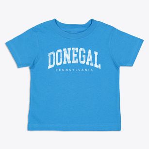 Donegal Pennsylvania Urban Vibe Toddler T-Shirt