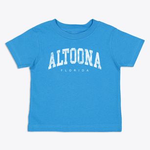 Altoona Florida Urban Vibe Toddler T-Shirt