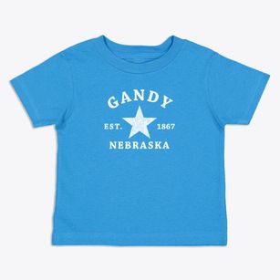 Gandy Nebraska Star Toddler T-Shirt