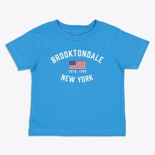 Brooktondale New York Patriot Toddler T-Shirt