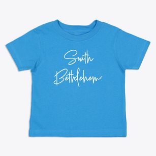 South Bethlehem New York Freestyle Toddler T-Shirt
